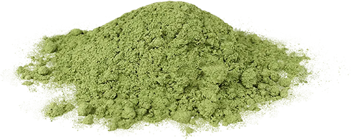 ハーブイメージ