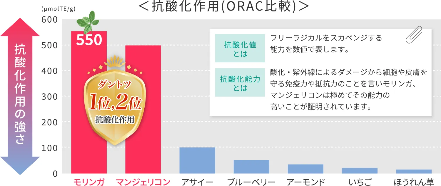 抗酸化作用(ORAC比較)グラフ モリンガとマンジェリコンの抗酸化作用はダントツ1位、2位